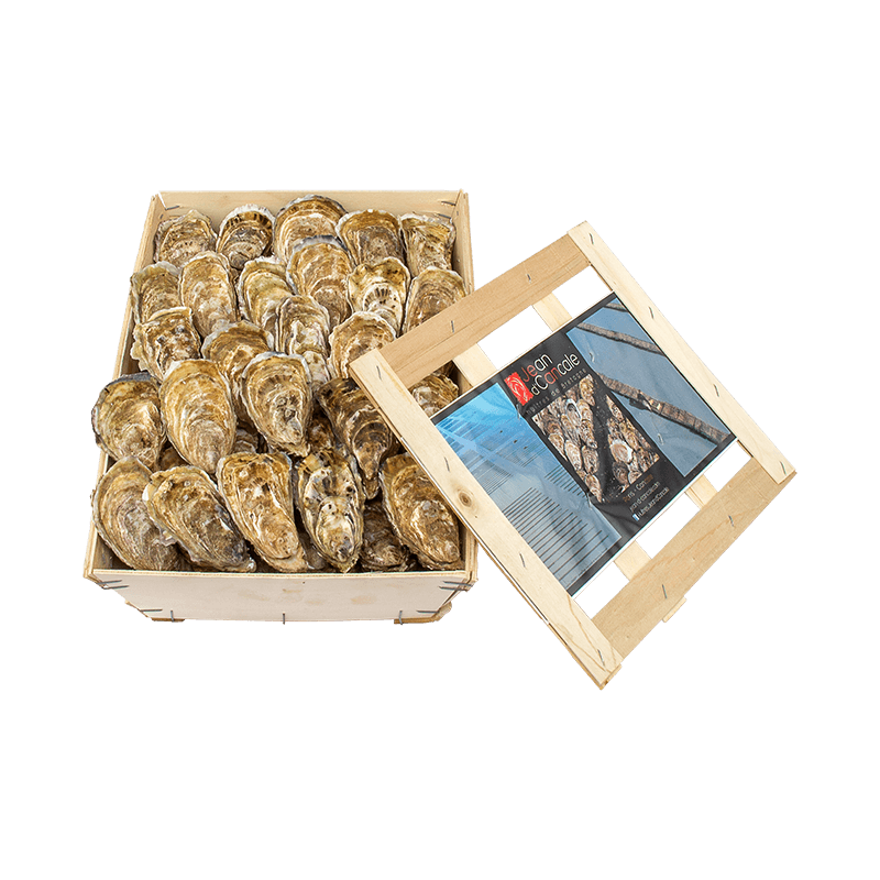 Huîtres de Cancale n°3 - bourriche de 50